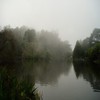 San Francisco park last winter.